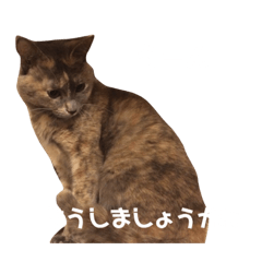 [LINEスタンプ] ゆきの個人的なスタンプ3
