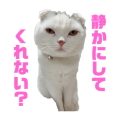 [LINEスタンプ] 垂れ耳ねこのグリコくん