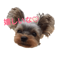 [LINEスタンプ] ソラたんスタンプ fetchpriority=high