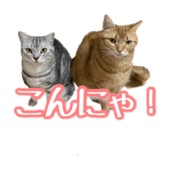 [LINEスタンプ] ma.moon.luke.yu 1 fetchpriority=high