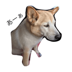 [LINEスタンプ] 犬らんまる 