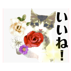 [LINEスタンプ] 気ままな猫達とお花