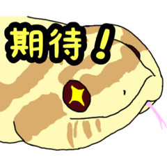 [LINEスタンプ] シシバナヘビのスタンプ