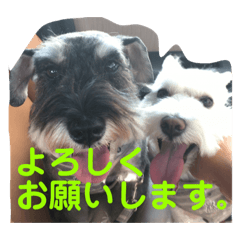 [LINEスタンプ] あんずさん、おまめさん、その2。