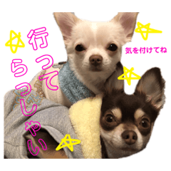 [LINEスタンプ] テリーくんベルちゃん 