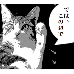 [LINEスタンプ] 漫画風猫スタンプの画像（メイン）