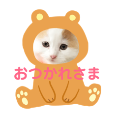 [LINEスタンプ] ラガさん 