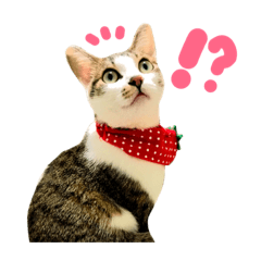 [LINEスタンプ] ちくつくぼーさん 