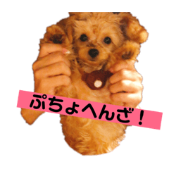 [LINEスタンプ] ちわぷぅのとうふと申します 