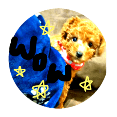 [LINEスタンプ] みゆま 