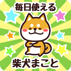 [LINEスタンプ] 毎日使える！柴犬まこと