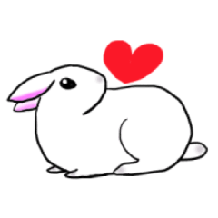 [LINEスタンプ] うさぎのあられ あいさつ2