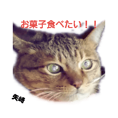 [LINEスタンプ] 矢﨑 2 
