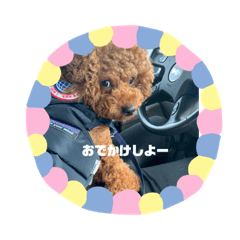 [LINEスタンプ] 毎日虎太朗② 