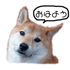 [LINEスタンプ] くうの思い