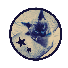 [LINEスタンプ] ★レモン★ 