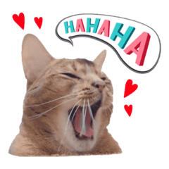 [LINEスタンプ] てんとスタンプ4