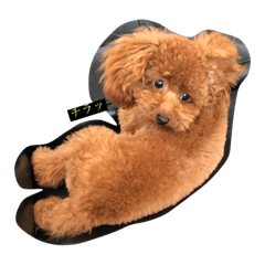 [LINEスタンプ] it's a cute fetchpriority=high