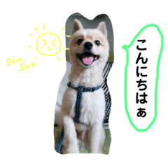 [LINEスタンプ] れんくんといっしょ 