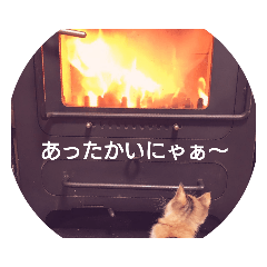 [LINEスタンプ] ルナちゃん① 
