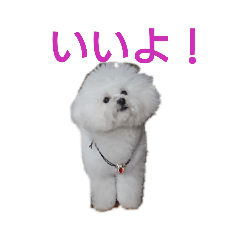[LINEスタンプ] パンナdeすたんぷ 