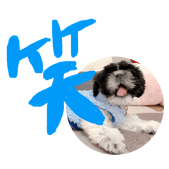 [LINEスタンプ] くぅちゃん 第1弾 