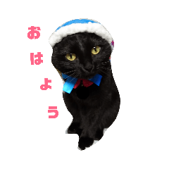 [LINEスタンプ] のあこのスタンプ    その2 