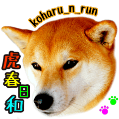 [LINEスタンプ] 虎春日和 弐の巻