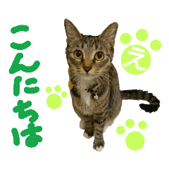 [LINEスタンプ] なななちゃん3改【え】