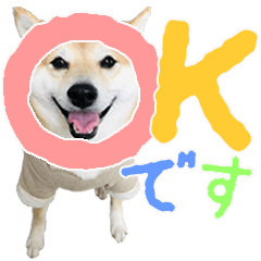 [LINEスタンプ] 使いやすい！敬語わんこ 