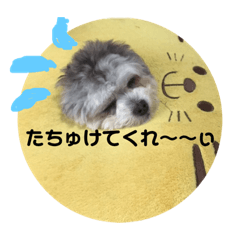 [LINEスタンプ] うるたん3 