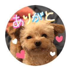 [LINEスタンプ] love my  dog2 fetchpriority=high
