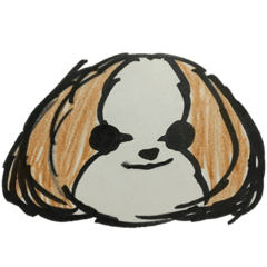 [LINEスタンプ] シーズー ココちゃんのイラストスタンプ