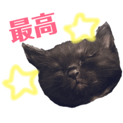 [LINEスタンプ] 着地ちゃん♡︎ 