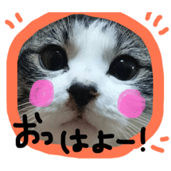[LINEスタンプ] うちのりむたん 