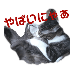 [LINEスタンプ] アルファαとラムダλにゃんスタ3 