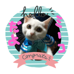 [LINEスタンプ] かわいいミーコちゃん