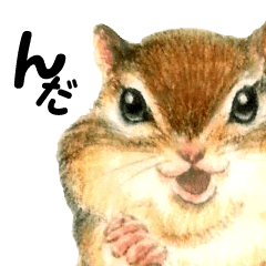 [LINEスタンプ] シマリスのノエル 