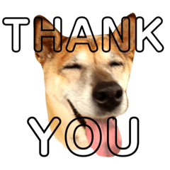 [LINEスタンプ] 岡家のすず 