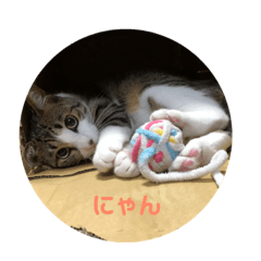 [LINEスタンプ] くーちゃんとたくのスタンプ 