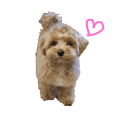 [LINEスタンプ] キャラメル色のめるちゃん♡ 