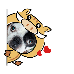 [LINEスタンプ] フレブルわんぱく龍馬 