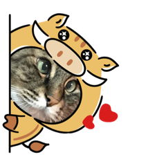 [LINEスタンプ] ちびた達の日常 
