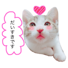 [LINEスタンプ] ❤愛しのすーたん❤ 