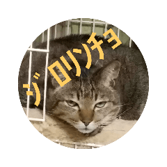 [LINEスタンプ] minako-ネコ2 