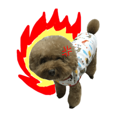 [LINEスタンプ] GaBは阿呆ですね