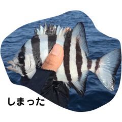 横田9-12月の釣果（2018）