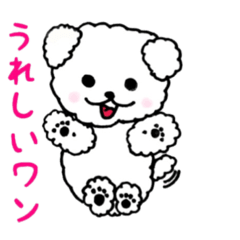 [LINEスタンプ] 白プードル♡ミルク 