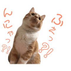 [LINEスタンプ] 猫のミントさん2
