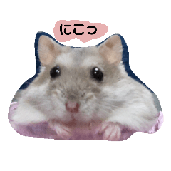 [LINEスタンプ] ジャンガリアンハムスターのルル 
